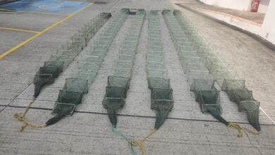 漁護署控告三名內地人士涉嫌使用蛇籠捕魚