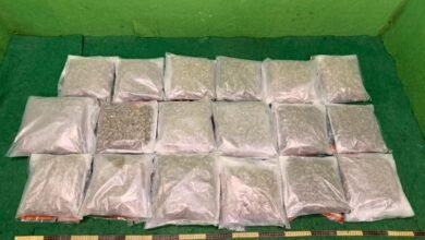 香港海關於機場偵破兩宗毒品案件