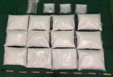 香港海關破獲毒品案件 檢獲約二千一百萬元懷疑毒品