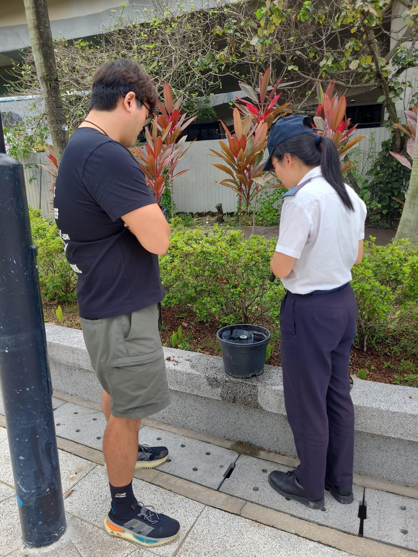 食環署公布5月第四批白紋伊蚊誘蚊器指數 涵蓋12監察地區