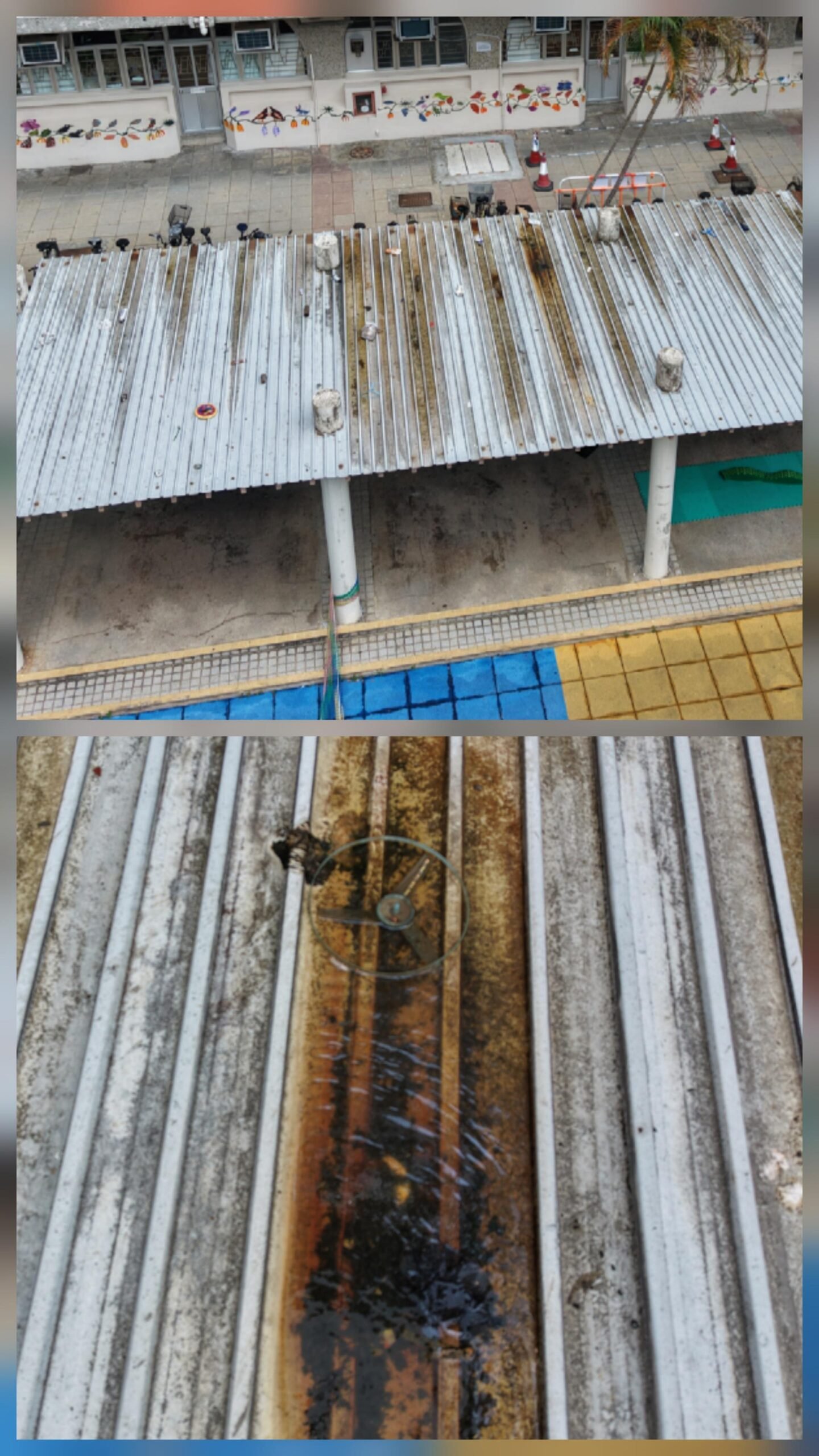 食環署公布五月份第七批白紋伊蚊誘蚊器指數