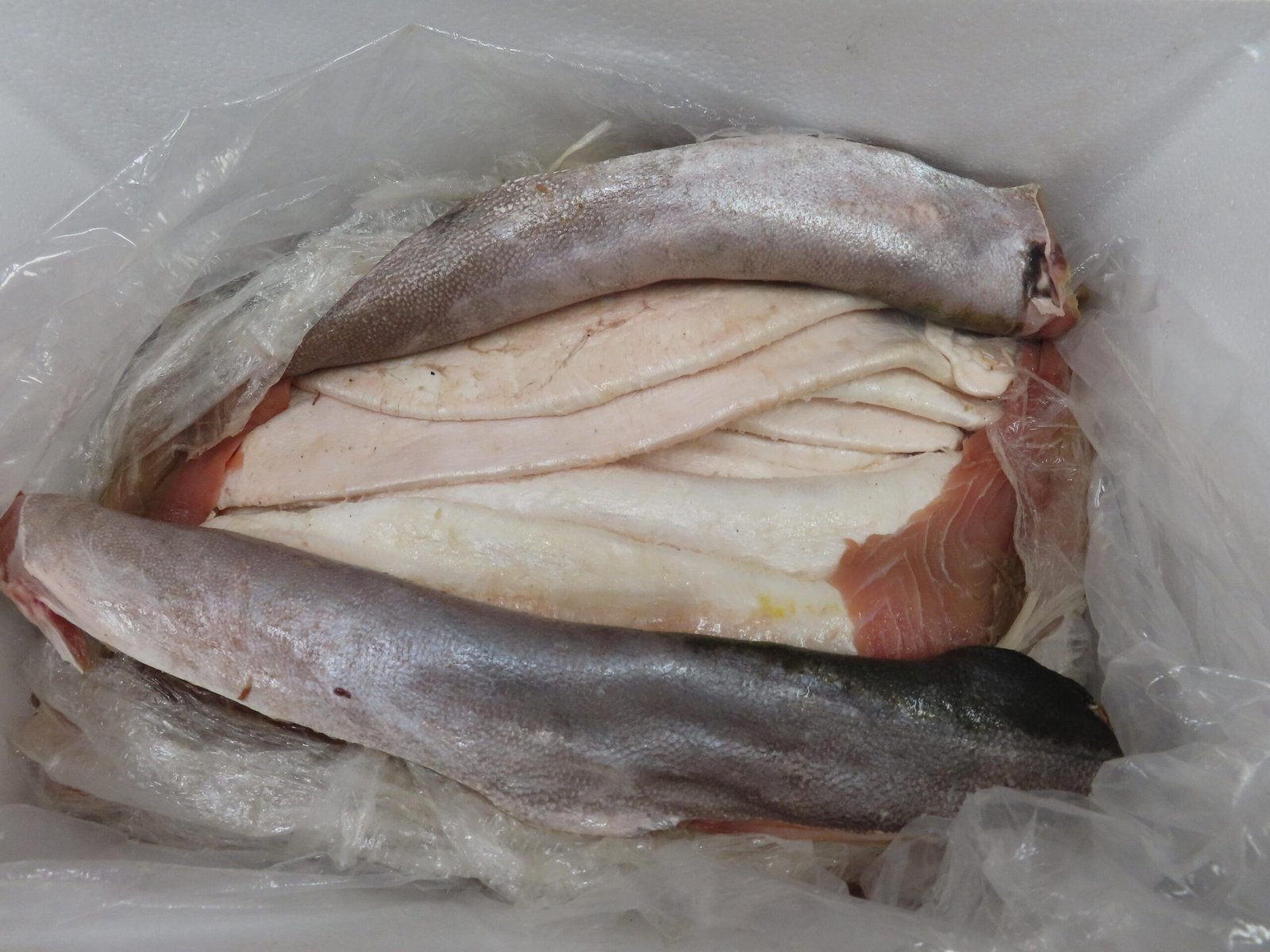 海關今年首宗石首魚鮮魚肚走私案 機場檢獲149公斤