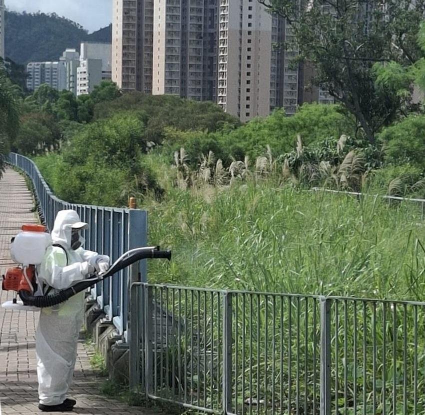 食環署公布六月第四批白紋伊蚊誘蚊器指數