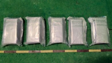海關在機場及多區檢獲約四百萬元懷疑毒品拘捕兩女