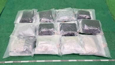 香港海關於機場檢獲懷疑大麻花