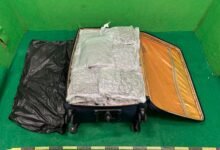 海關於機場破行李藏毒案 檢獲22公斤懷疑大麻花