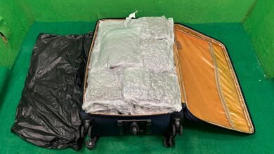 海關於機場破行李藏毒案 檢獲22公斤懷疑大麻花