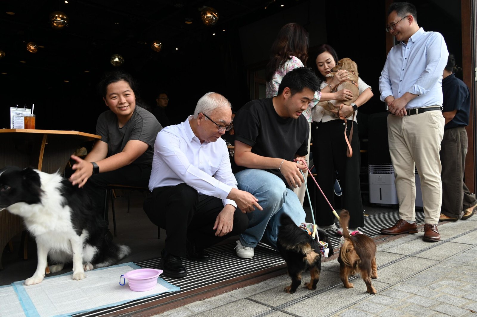 首批940間食肆開放狗隻入內 食環署派專隊巡訪支援業界