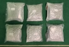 香港機場檢獲三公斤疑大麻花 馬來西亞男旅客被捕