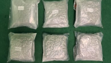 香港機場檢獲三公斤疑大麻花 馬來西亞男旅客被捕