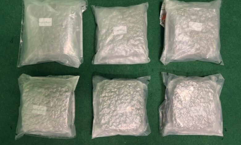 香港機場檢獲三公斤疑大麻花 馬來西亞男旅客被捕