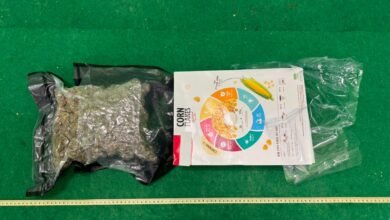 曼谷抵港兩男機場被揭行李藏十公斤疑大麻花