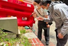 72歲男染大鼠戊型肝炎 當局在住所及活動地點發現鼠跡加強滅鼠