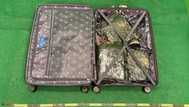 機場接連破兩宗旅客運毒案 海關檢約22公斤大麻花拘三人