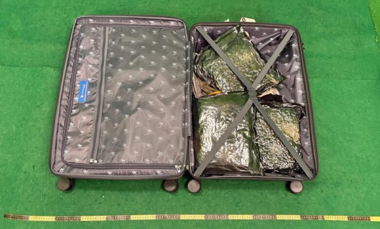 機場接連破兩宗旅客運毒案 海關檢約22公斤大麻花拘三人