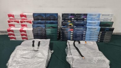 港珠澳大橋口岸檢逾萬支私煙 兩旅客罪成判囚罰款