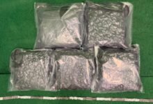 機場揭兩宗旅客販毒案 檢約9.5公斤大麻花拘三人