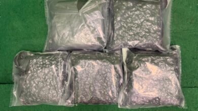 機場揭兩宗旅客販毒案 檢約9.5公斤大麻花拘三人