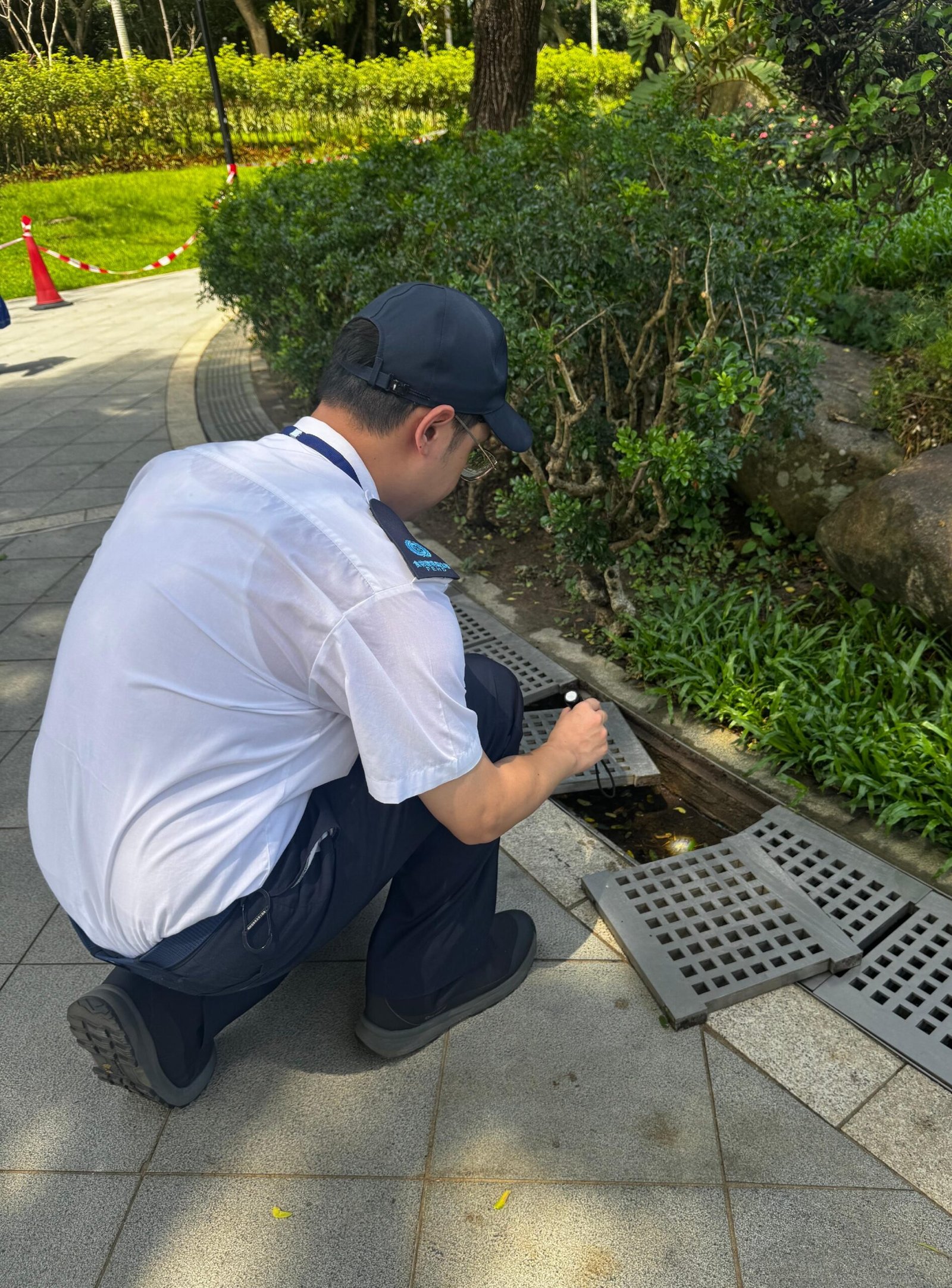 七月第五批白紋伊蚊誘蚊指數公布 紅磡土瓜灣及大埔東錄較高水平