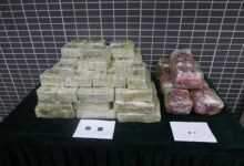 深圳灣管制站揭發疑走私晶片案 海關檢獲逾六百萬元貨值