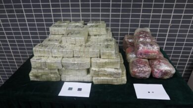 深圳灣管制站揭發疑走私晶片案 海關檢獲逾六百萬元貨值