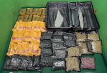 港機場兩日揭三宗旅客運毒案 海關檢獲氯胺酮及大麻花值190萬