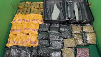 港機場兩日揭三宗旅客運毒案 海關檢獲氯胺酮及大麻花值190萬