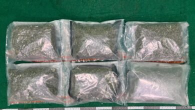 港機場兩宗入境旅客涉販毒 海關檢獲約790萬港元懷疑毒品拘一男一女