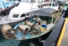 漁護署起訴本地船長及五名漁工 涉在頭顱洲以東水域以蛇籠捕魚