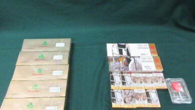 12歲本地女旅客涉管有逾三千支未完稅香煙 粉嶺裁判法院判監十周兼罰款