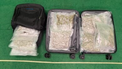 機場旅客被揭行李藏3.9公斤懷疑大麻花 海關拘捕兩本地男