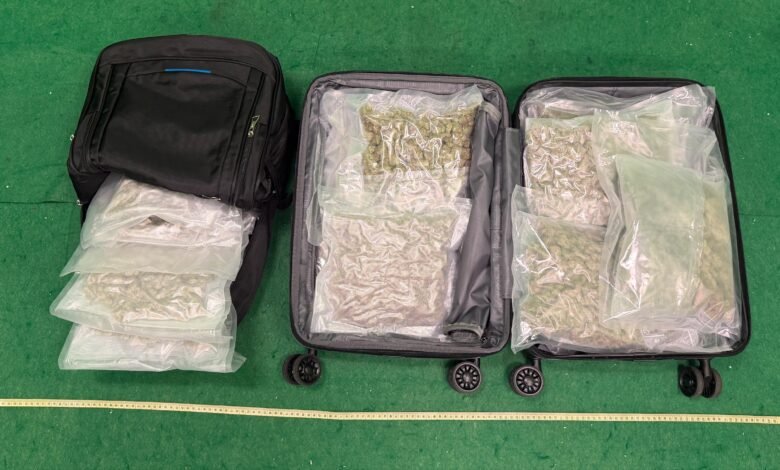機場旅客被揭行李藏3.9公斤懷疑大麻花 海關拘捕兩本地男
