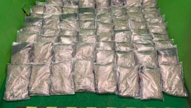 海關機場檢獲約33公斤懷疑大麻花 拘捕三十四歲美籍男旅客