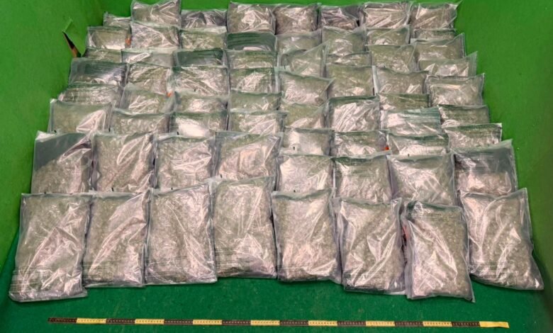 海關機場檢獲約33公斤懷疑大麻花 拘捕三十四歲美籍男旅客