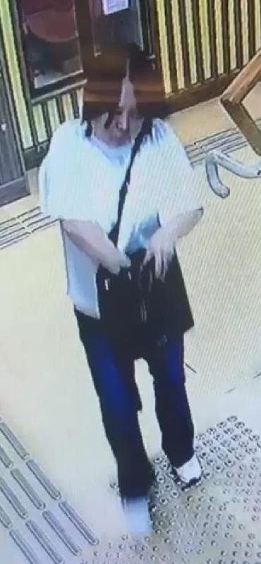 馬鞍山55歲女子失蹤 警方公布資料促市民提供消息