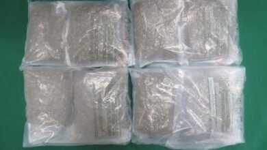海關天水圍檢獲約百萬懷疑大麻花 二十九歲男子被控販運危險藥物