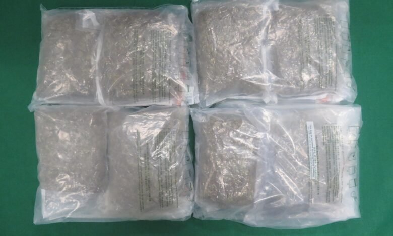 海關天水圍檢獲約百萬懷疑大麻花 二十九歲男子被控販運危險藥物