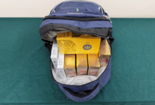 入境本地女旅客藏逾千七支未完稅香煙 粉嶺裁判法院判監四星期及罰款一千元