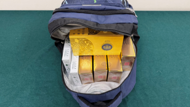 入境本地女旅客藏逾千七支未完稅香煙 粉嶺裁判法院判監四星期及罰款一千元