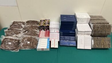 海關揭發內河船走私案 檢獲約四百萬元懷疑貨物