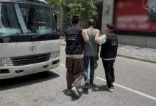 全港多區掃蕩黑工拘十二人