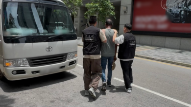 全港多區掃蕩黑工拘十二人