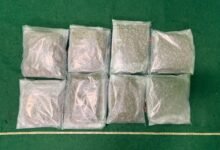 機場破兩宗旅客涉毒案 檢約九點五公斤懷疑大麻花拘兩男