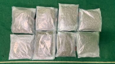 機場破兩宗旅客涉毒案 檢約九點五公斤懷疑大麻花拘兩男