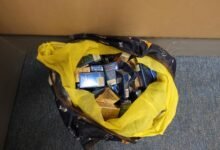 抵港女客私煙案判監十星期罰二千元