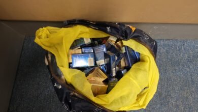 抵港女客私煙案判監十星期罰二千元