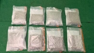 機場檢四公斤疑大麻花 內地男旅客被捕