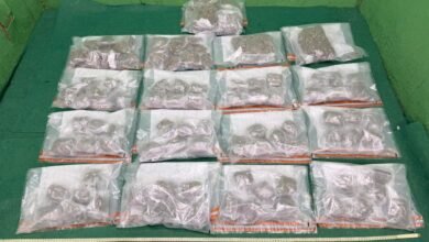 機場查獲約七點五公斤大麻花 31歲內地女客被捕