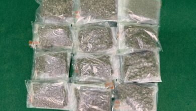 機場偵破兩宗入境旅客販毒案 海關檢約三公斤懷疑大麻花