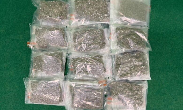 機場偵破兩宗入境旅客販毒案 海關檢約三公斤懷疑大麻花